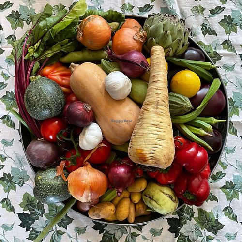 Veggies for workshop at Rebelicious in Oostelbeers