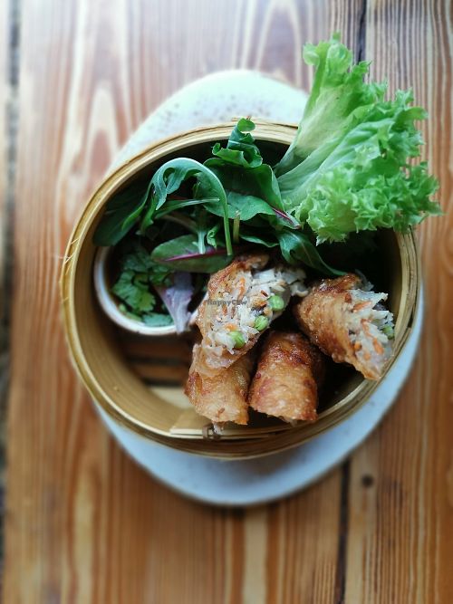 Shaoine rolle at Vietal Kitchen in Stuttgart