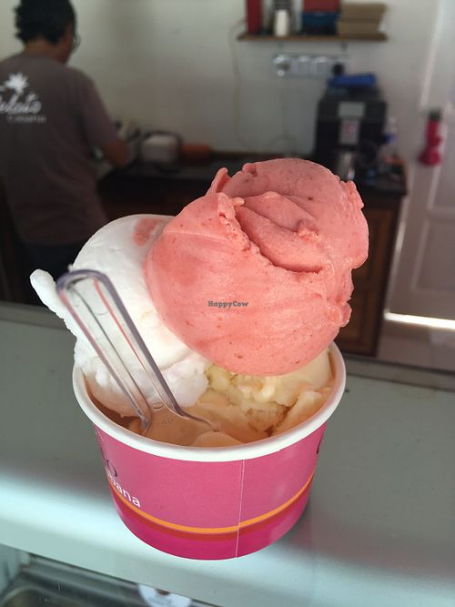 Gelato Cabana Langkawi Ice Cream HappyCow