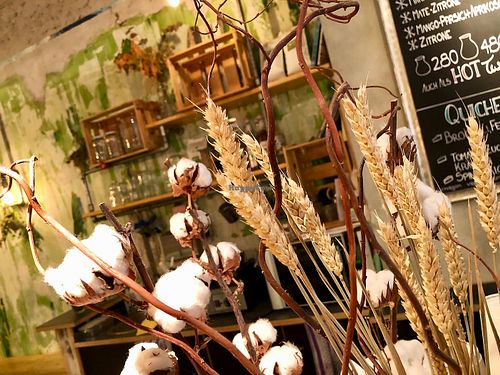 interior design at Kaffeehaus Severinstrasse in Cologne