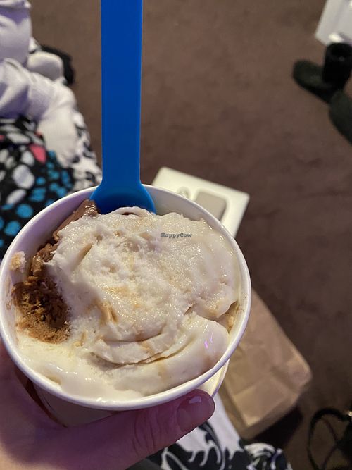 Vegan peanut butter coconut & chocolate strawberry chip  at The International Delight Cafe in Bellmore