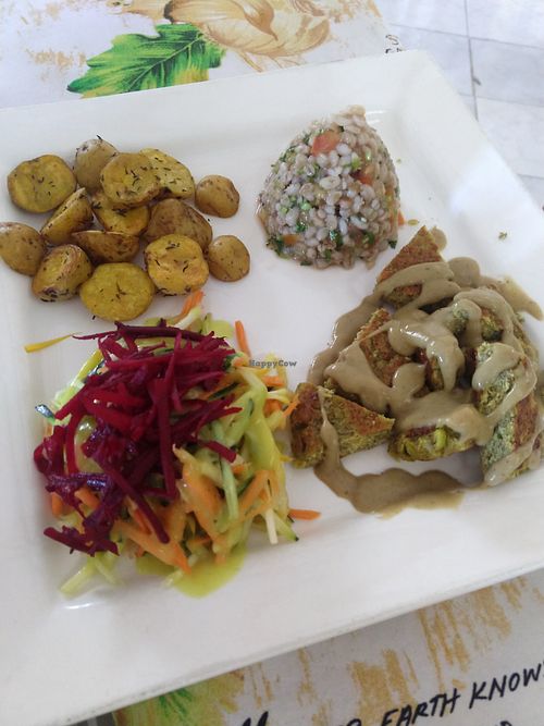 Meal of the day at Alma Natura in Medellin