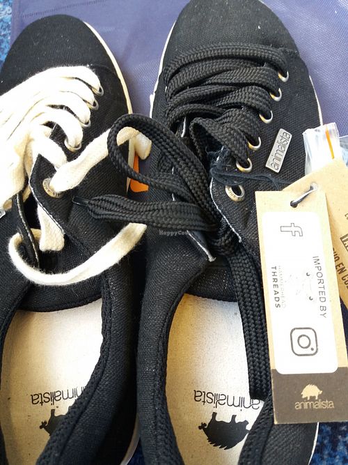 Men's trainers at Hammerhead Threads in Sydney