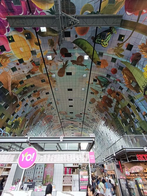  at 55 Bombay Street in Rotterdam