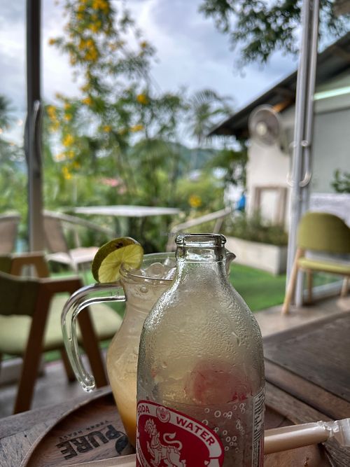 Garden  at Pure Vegan Heaven in Koh Samui