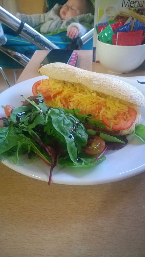 Vegan cheese and tomato panini at Rising Sun Countryside Centre Cafe in Newcastle Upon Tyne