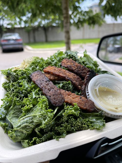 Kale Salad with tempeh bacon and avocado $16   at Seed Cafe in Minneapolis