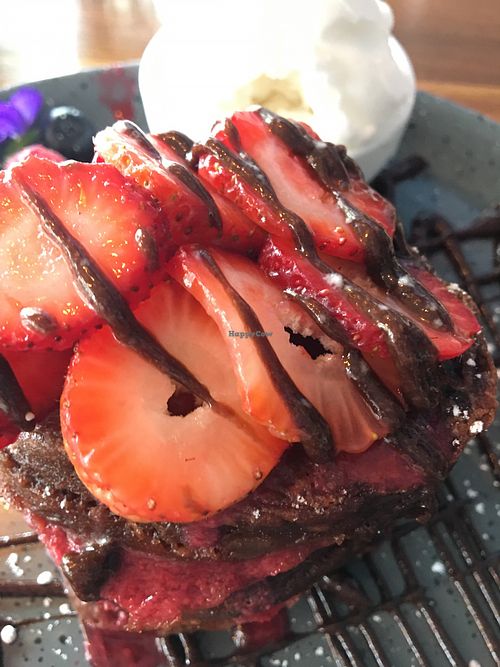 Protein Pancakes at Jack & Shanan's in Palm Cove