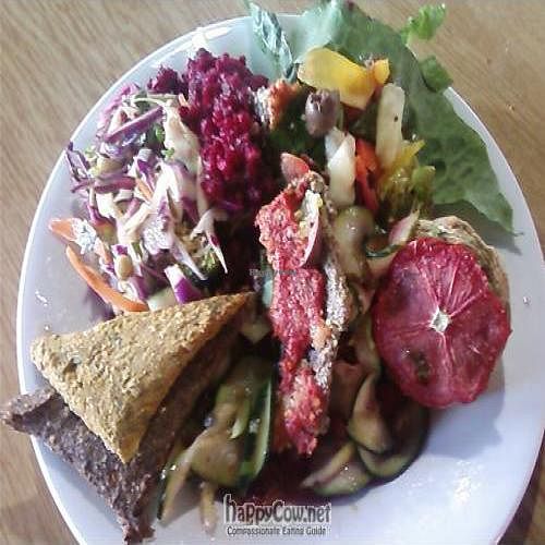 Plate of raw food. Raw pizza slice is included but it's not apparent in the photo. at PAWS Community Resource Centre in Perth