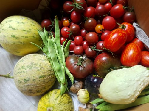 Organic vegetables from the farm.  at Dana Village in Nishiaizu