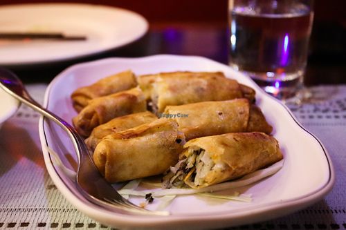 spring rolls at Formosa Chinese Restaurant in Aqaba