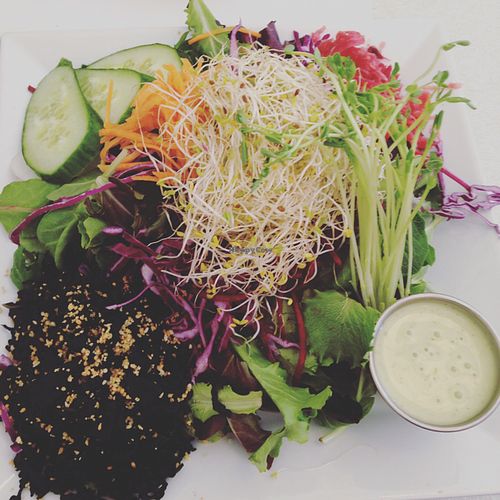 living Salad at Aux Vivres - St Laurent in Montreal