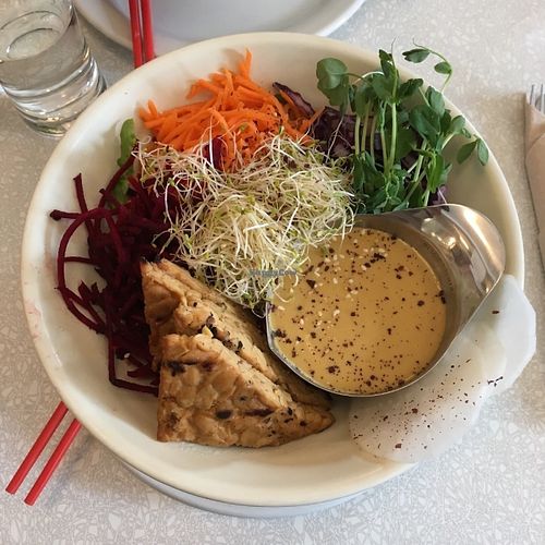 Bol Dragon at Aux Vivres - St Laurent in Montreal