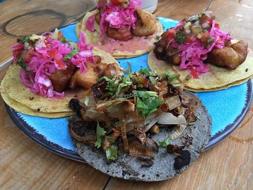 3 tacos with fried coliflower and 1 taco with garlic mushrooms  at Barba Negra in Holbox