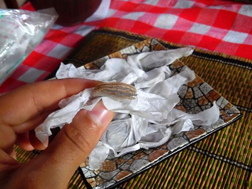 Tamarind candy at The Moon - Old Bagan in Bagan