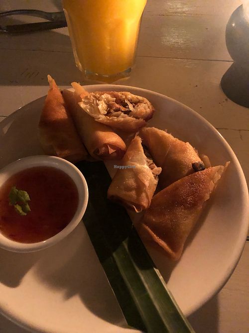 Vegan spring rolls  at Whitening in Koh Tao