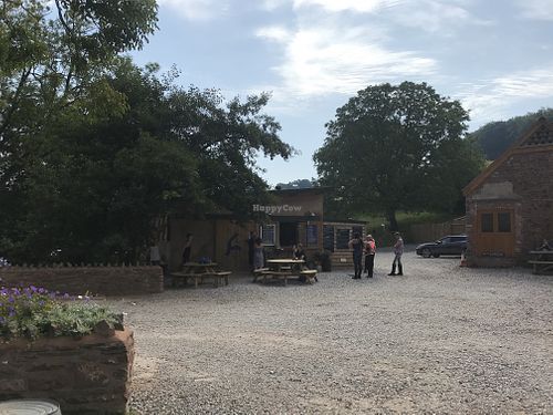 Cafe  at The Foxy Bean in Taunton