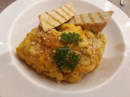 Vegan mac and cheese and tofu steak at The Salad Concept - Sompetch Branch in Chiang Mai