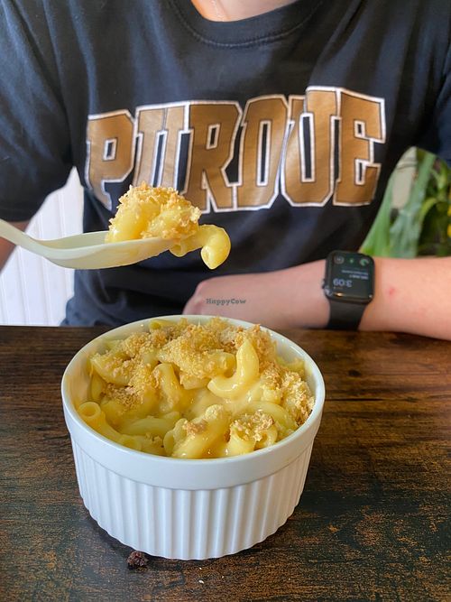 Smoky bacon Mac n cheese.  at Umami Gorilla in Wilkes-barre