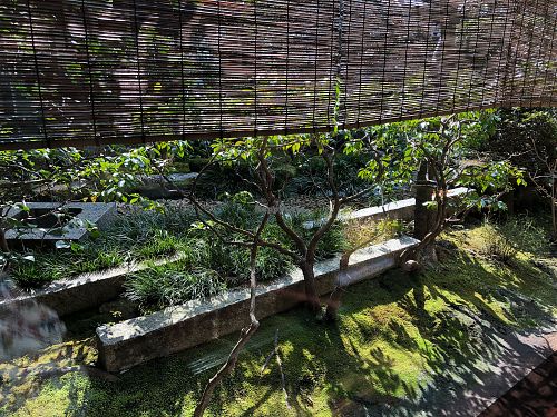 Garden view table at Hachinoki in Kamakura