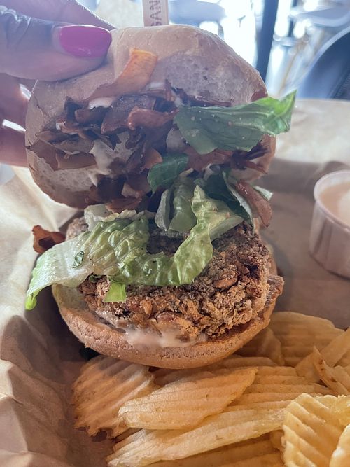 Chickyn Sándwich w coconut bacon  at Urban Beets Cafe & Juicery in Wauwatosa