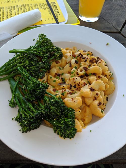 Mac and trees at Braindead Brewing in Dallas