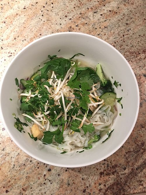 Pho chay at KiSu in Frankfurt