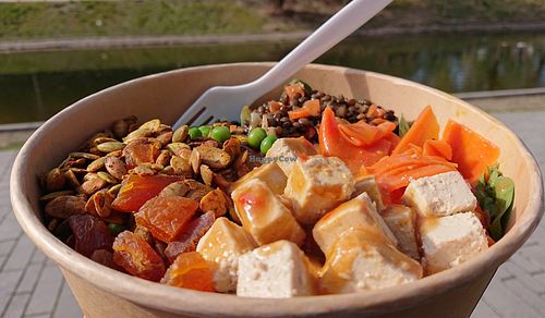 Lentil Tofu at MaKE. in Dusseldorf