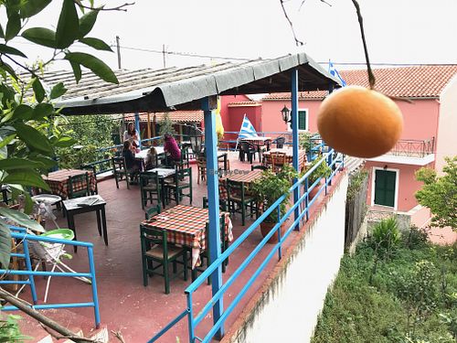The Roof Garden at Angelas Taverna in Corfu