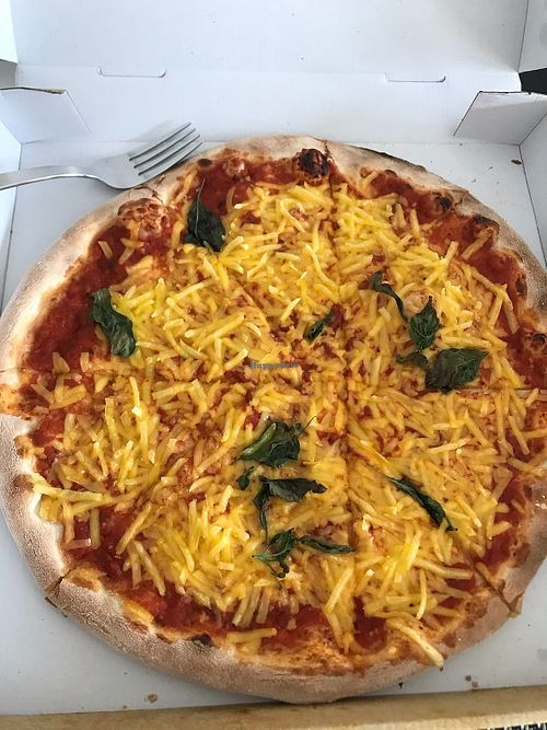 Vegan pizza with basil at Olive Tree in Leipzig