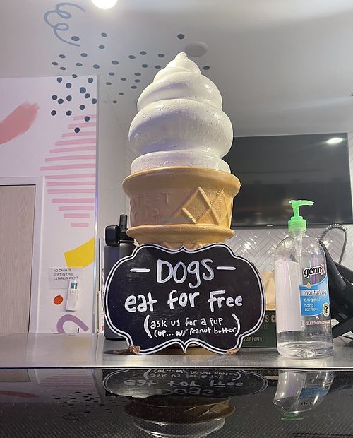 For doggies   at MN Nice Cream in Minneapolis
