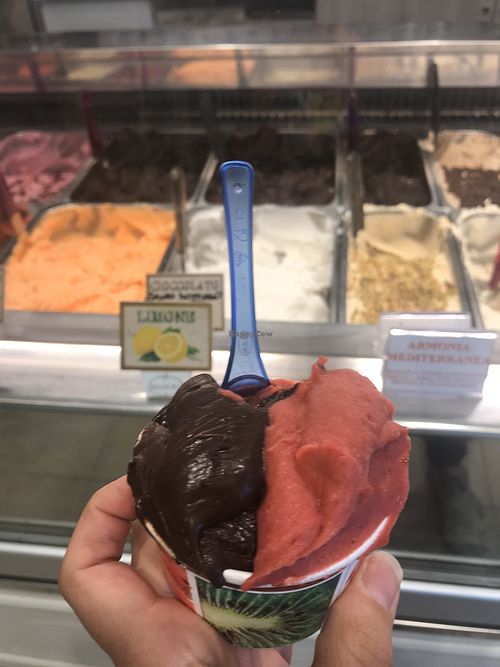 Sicilian chocolate and raspberry vegan sorbets  at Belfiore Gelato e Cioccolato in Siracusa