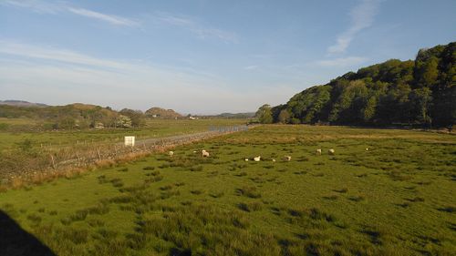 The view from the bedroom window to historic Dunadd Hill Fort.  at Kings Reach Self Catering in Lochgilphead