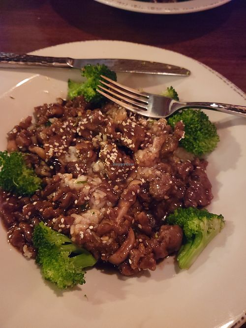 Mongolian  "beef" made with seitan at Provender Kitchen & Bar in Ellsworth