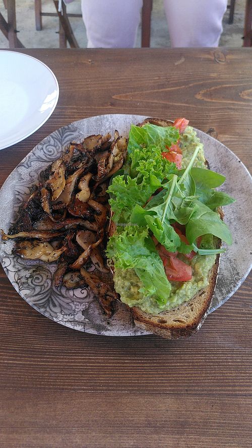 All time classic at Avit, smashed avocado with extra mushrooms on homemade bread at Avit in Athens