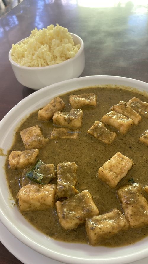 Tofu and spinach curry!  at Persian Palate - Mango Square in Cebu