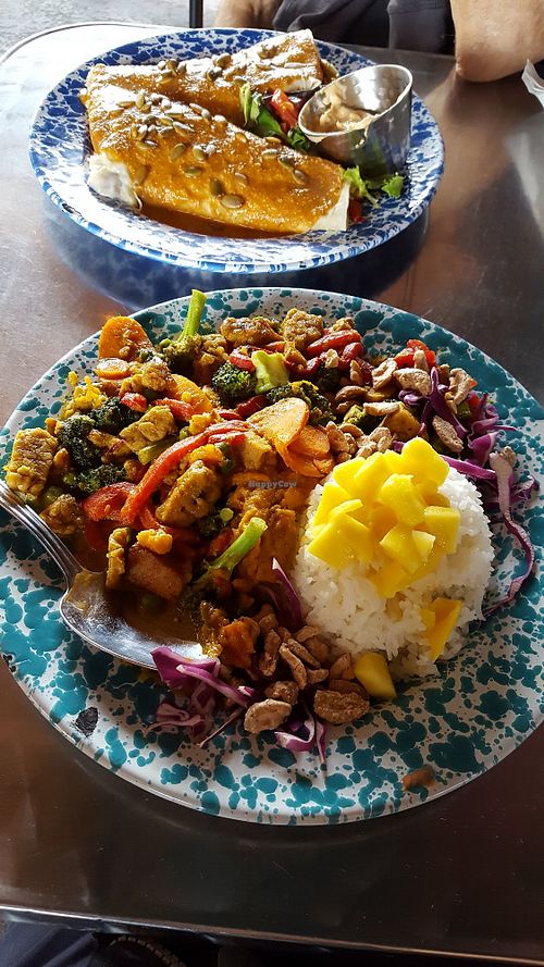 Wild Craft Eatery Boone North Carolina Restaurant HappyCow