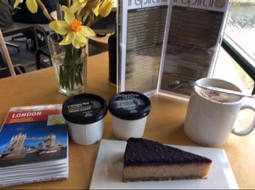 very good Vegan cheese cake and icecream. at InSpiral Lounge in North West London