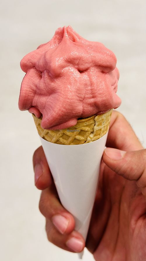   at IKEA - Möbelvaruhus in Malmo