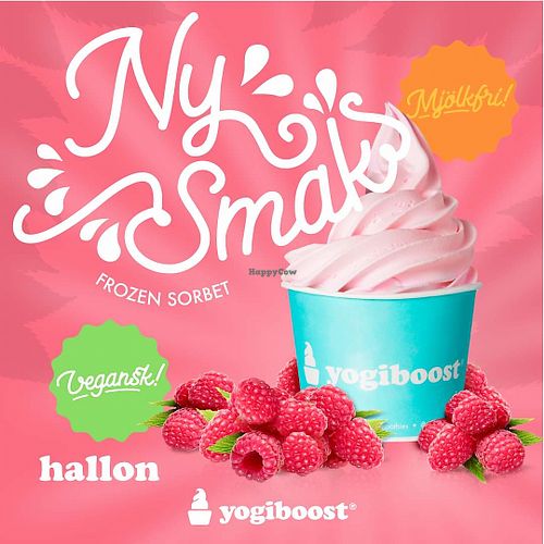 Vegan flavors  at Yogiboost in Halmstad