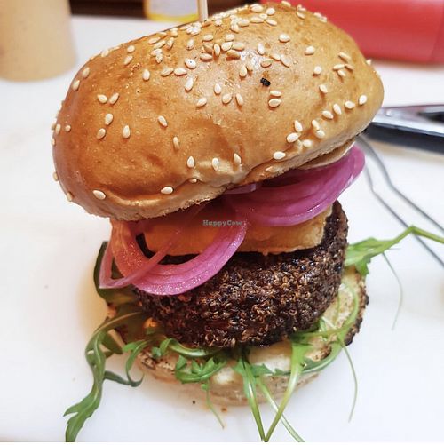 Vegetarian harvest burger at 50 in Zagreb