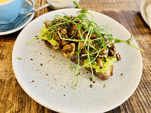 Image of The Urban Garden