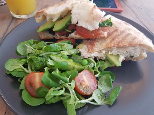Amazing avocado panini with salad at The Urban Garden in Vilnius