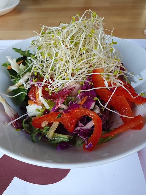 Starter: salad, so fresh and with sprouts at Vegehop in Zagreb