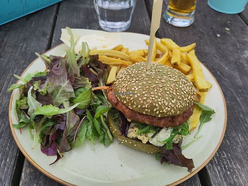  at Kaap Noord in De Cocksdorp