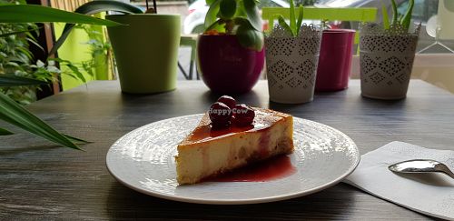 Cheesecake at Bien-être et Petit Plat in Marseille