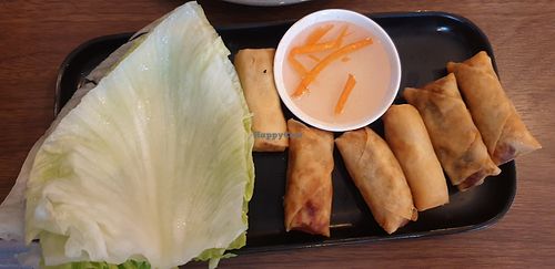 Vegan spring rolls at Saigon Soul in Ascot Vale