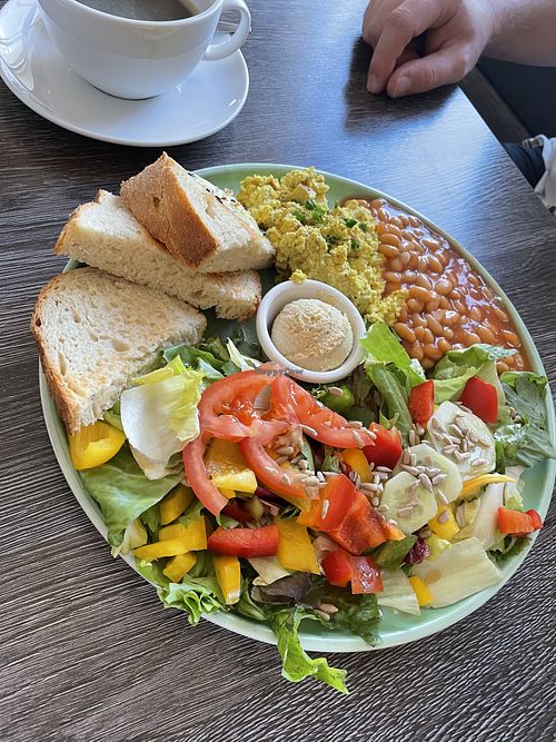 Katerfrühstück   at Katzentempel - Leipzig Ost in Leipzig