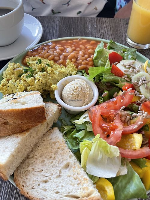 Katerfrühstück   at Katzentempel - Leipzig Ost in Leipzig