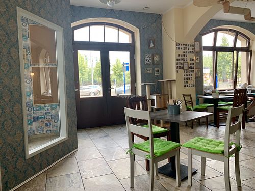 inside at Katzentempel - Leipzig Ost in Leipzig